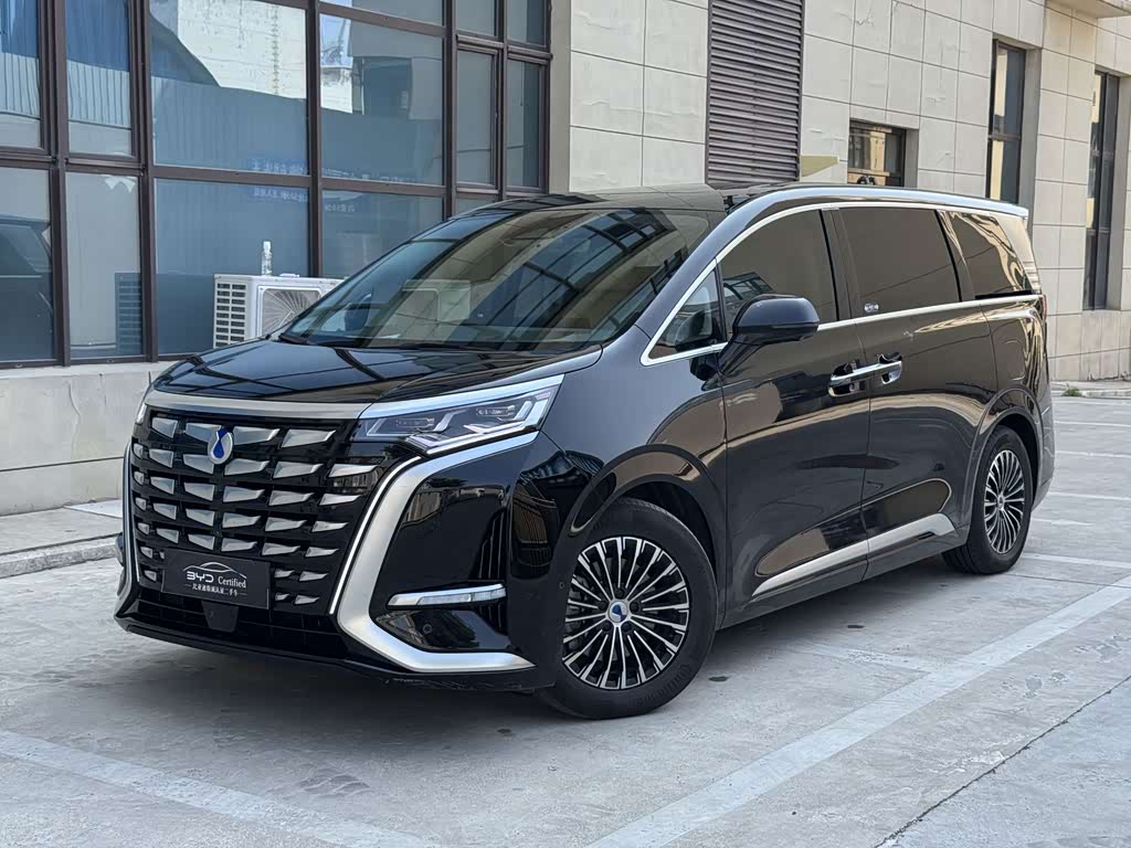 Denza D9
