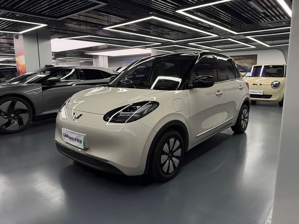 Wuling Binguo