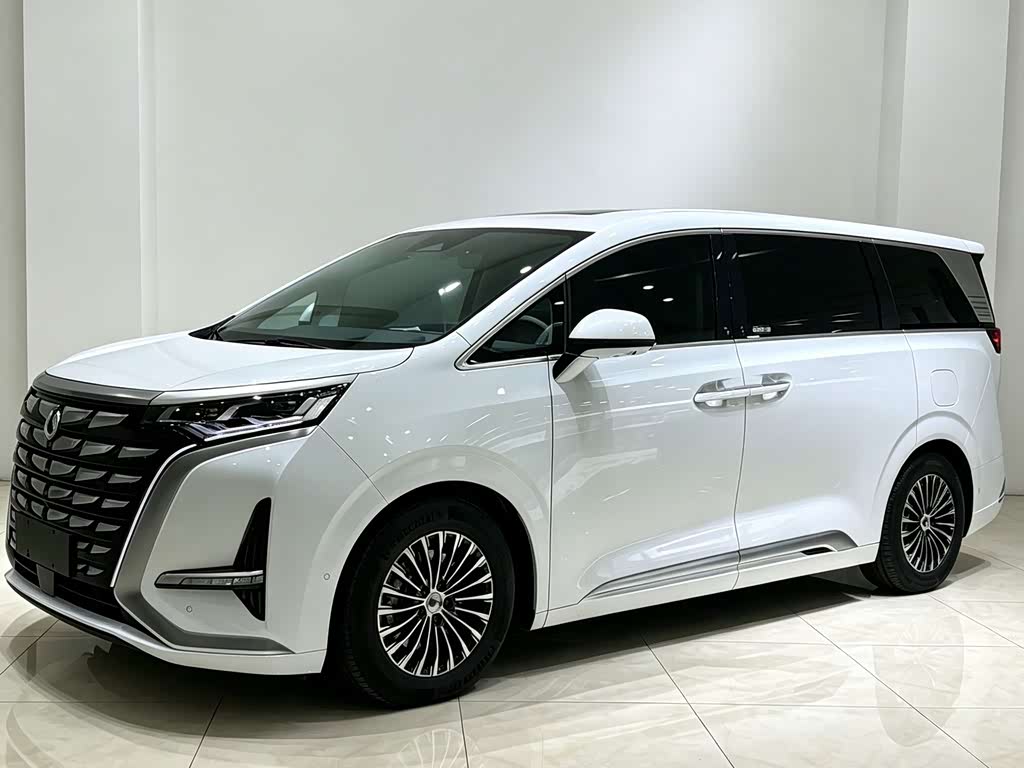 Denza D9