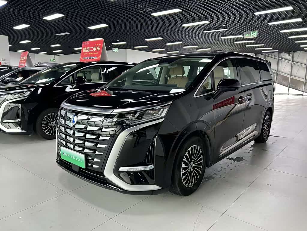 Denza D9