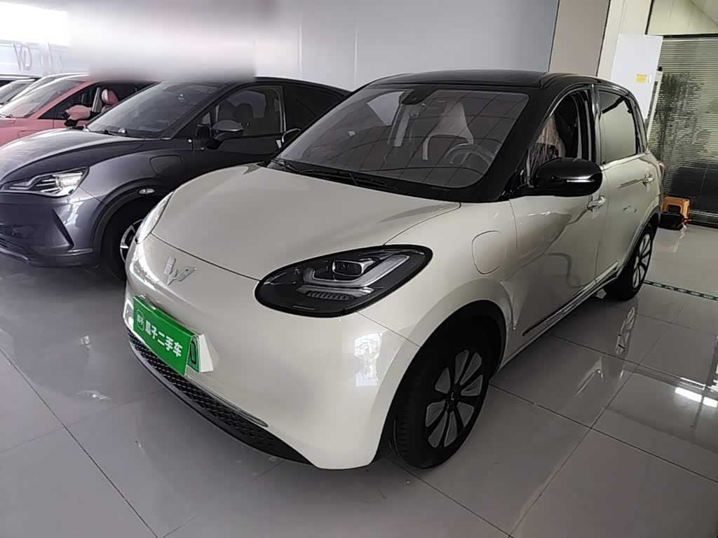 Wuling Binguo