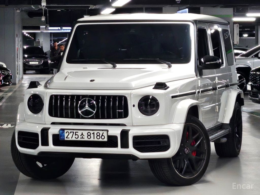 Mercedes-Benz G-Class W463b