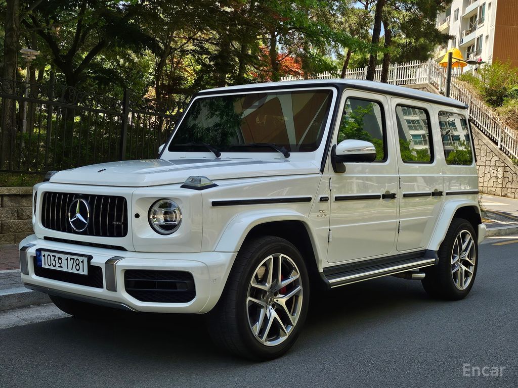 Mercedes-Benz G-Class W463b