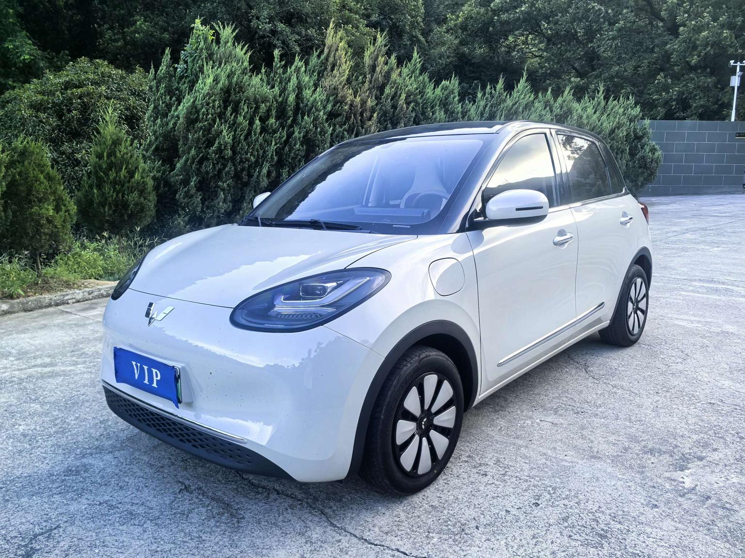 Wuling Binguo