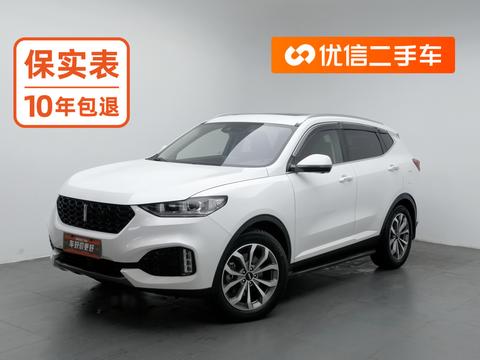 Wey VV6