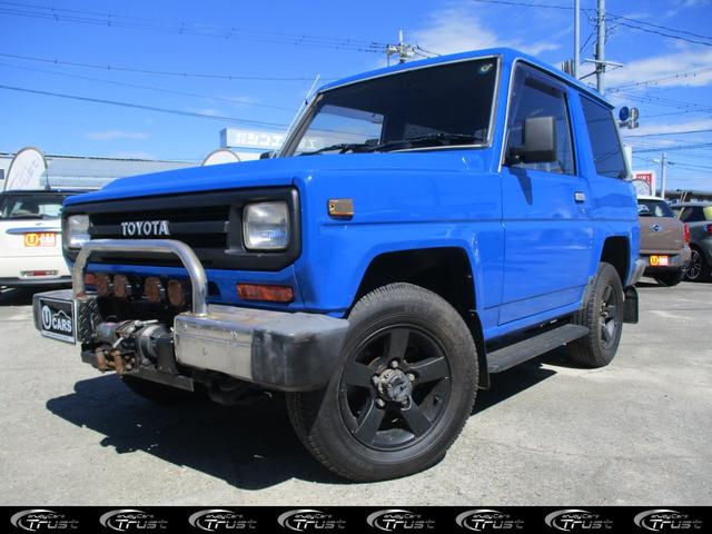 Toyota Blizzard