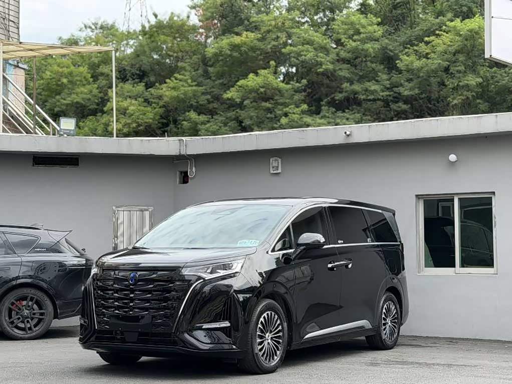 Denza D9