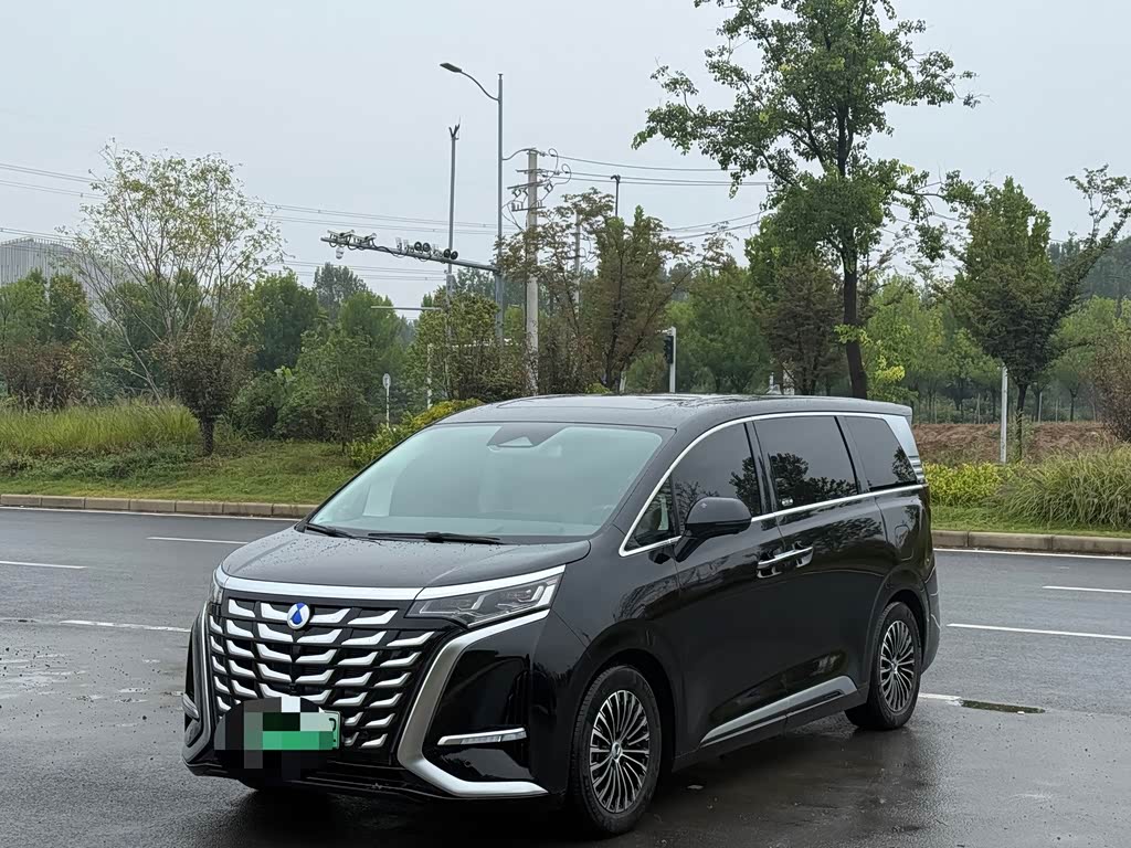 Denza D9