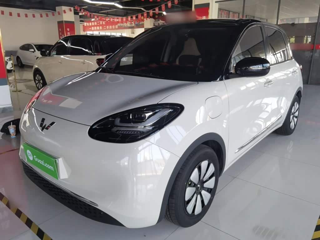 Wuling Binguo