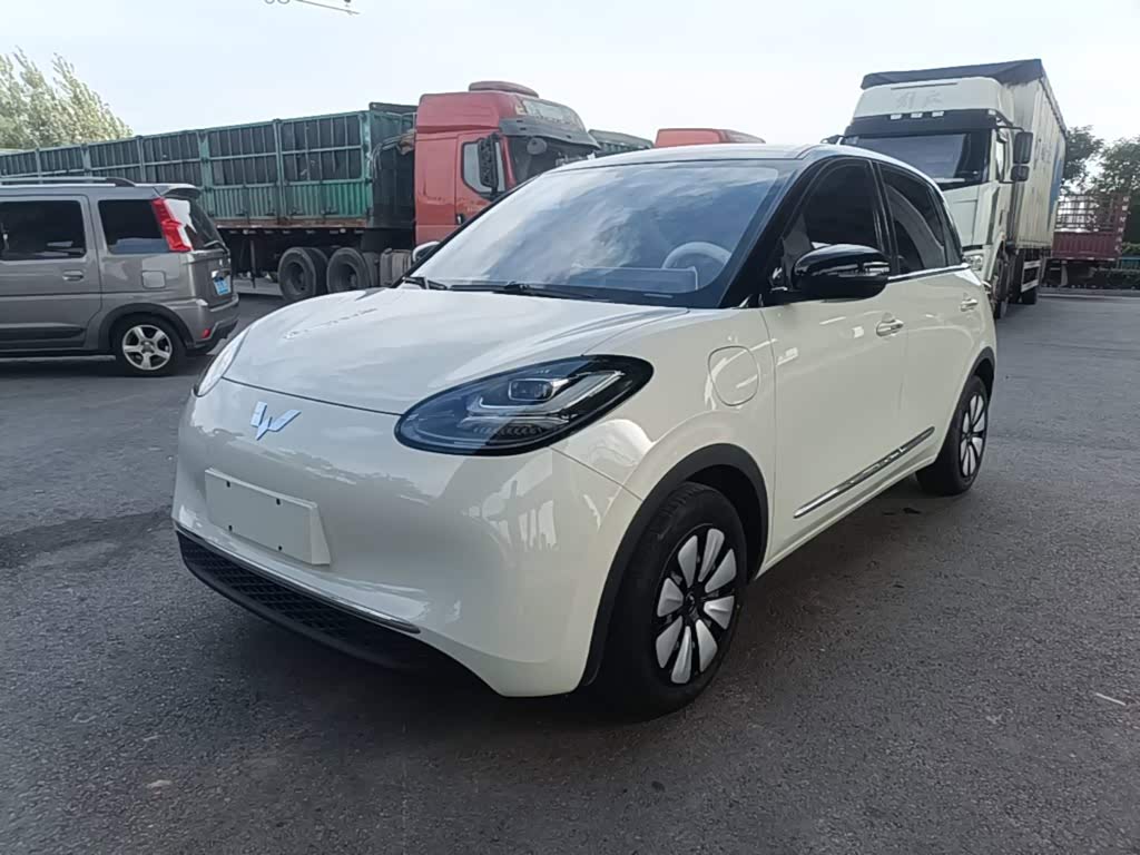 Wuling Binguo