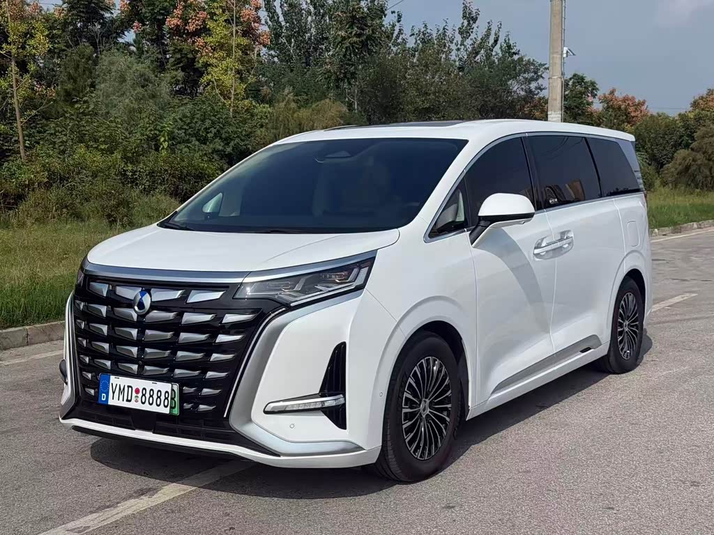 Denza D9