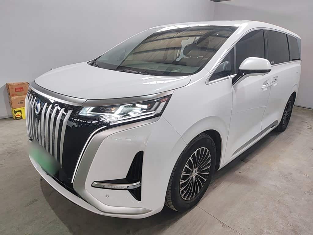 Denza D9