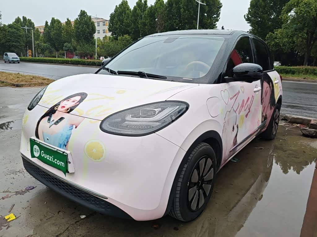 Wuling Binguo