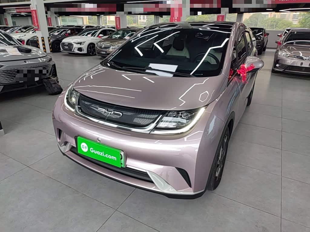 BYD Dolphin