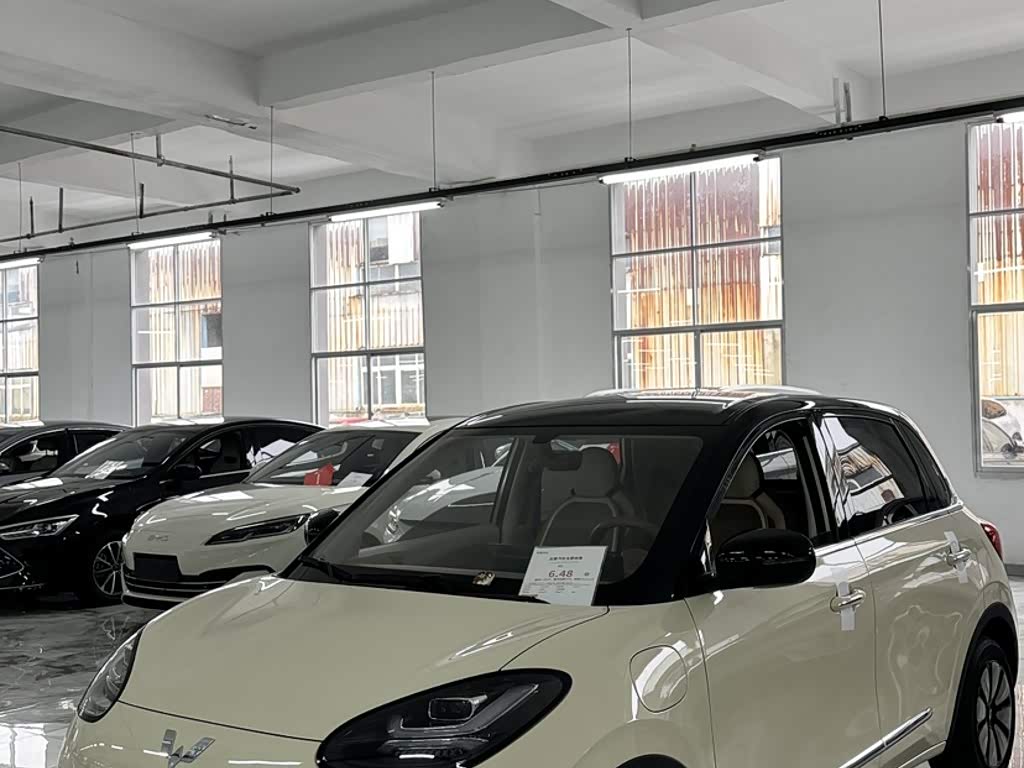 Wuling Binguo