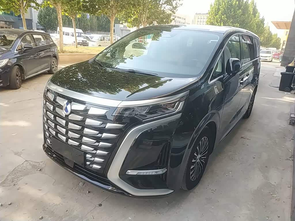 Denza D9