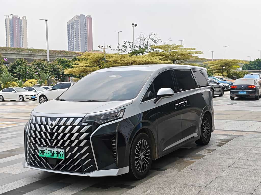Denza D9