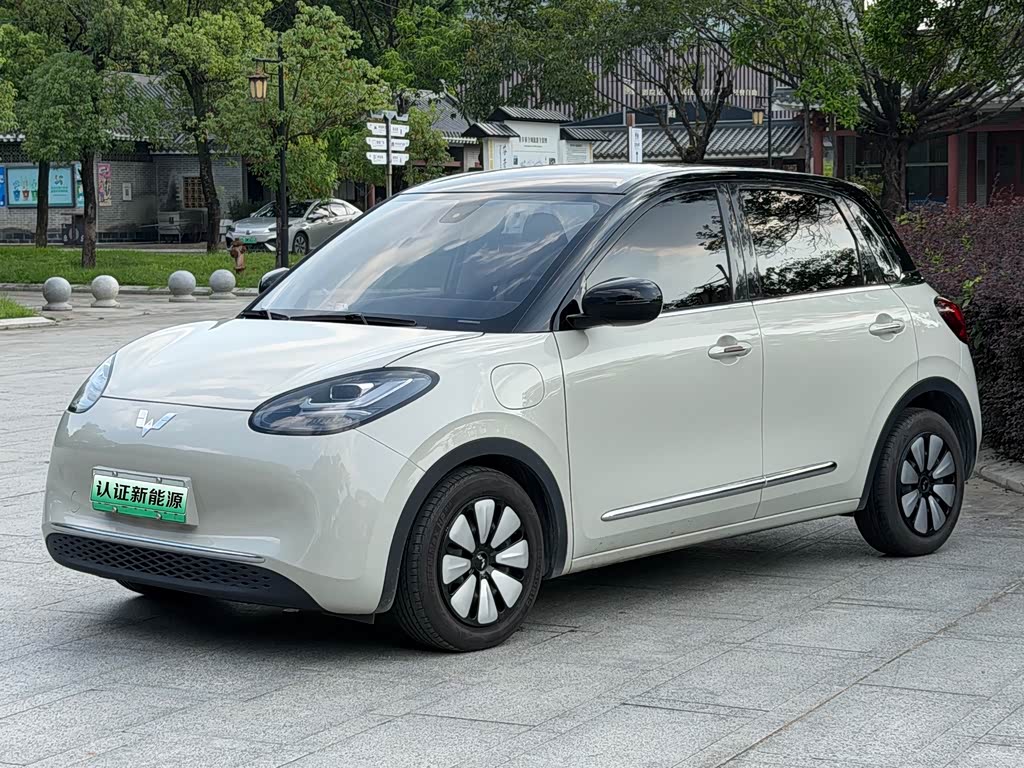 Wuling Binguo