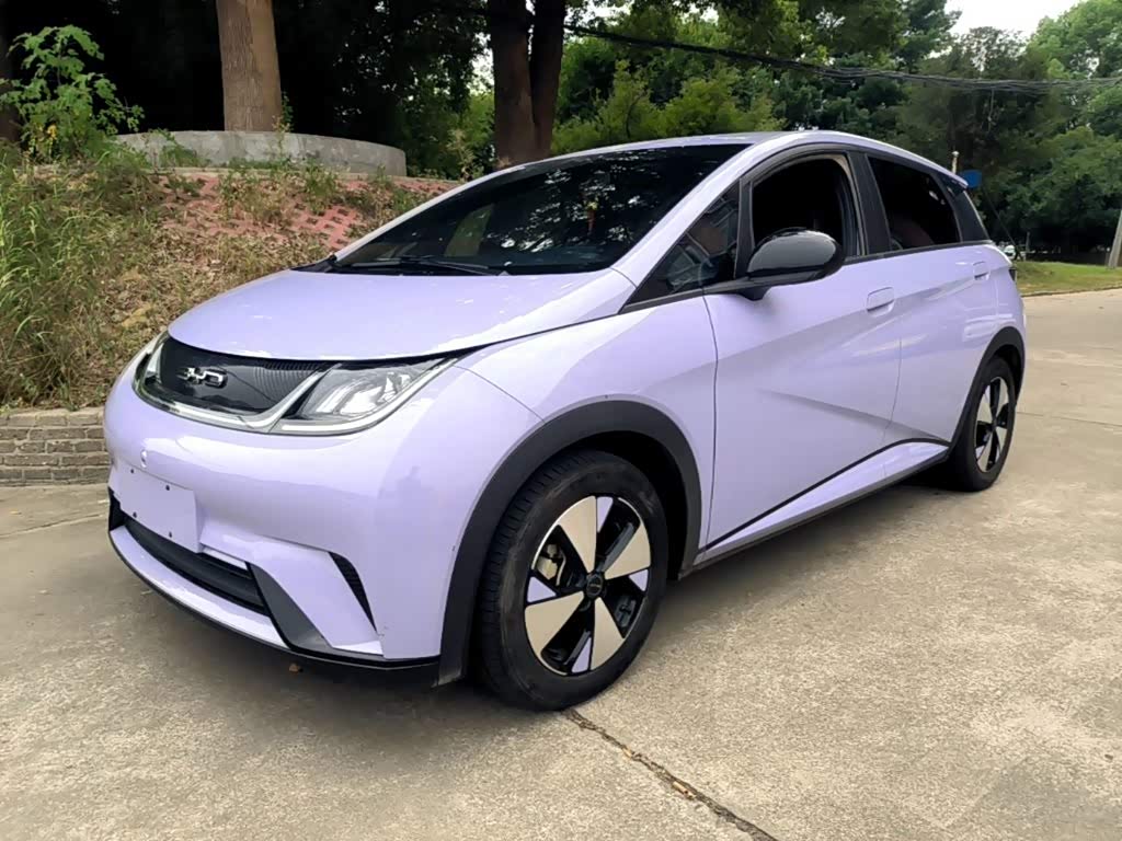 BYD Dolphin