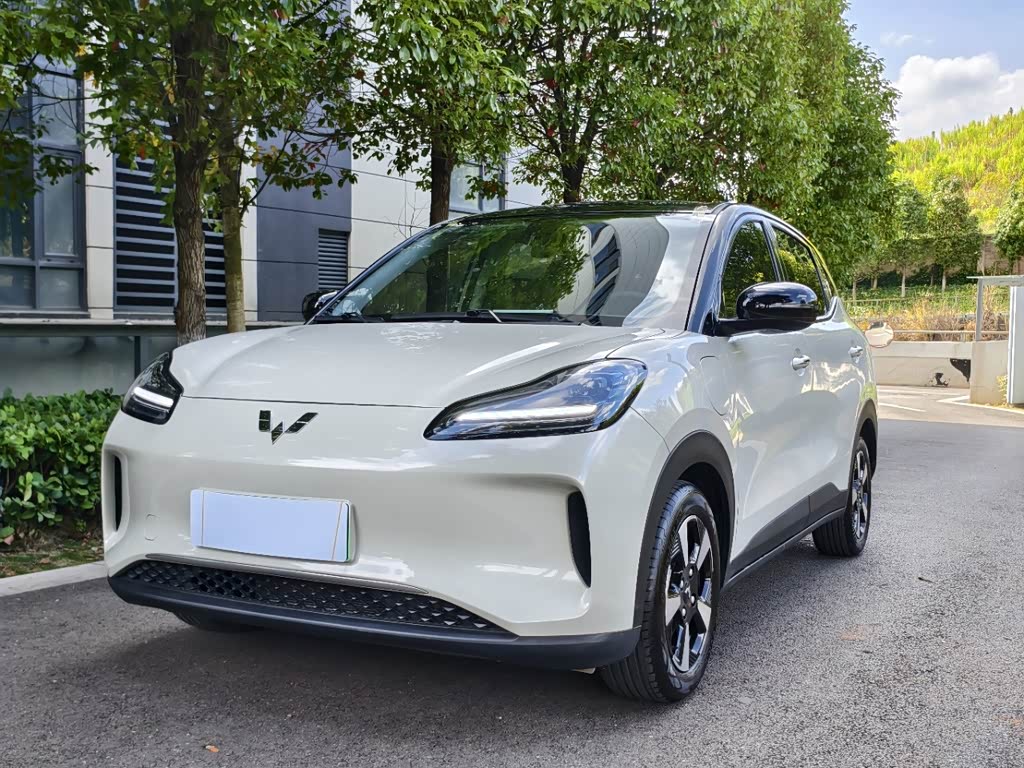 Wuling BinguoPLUS
