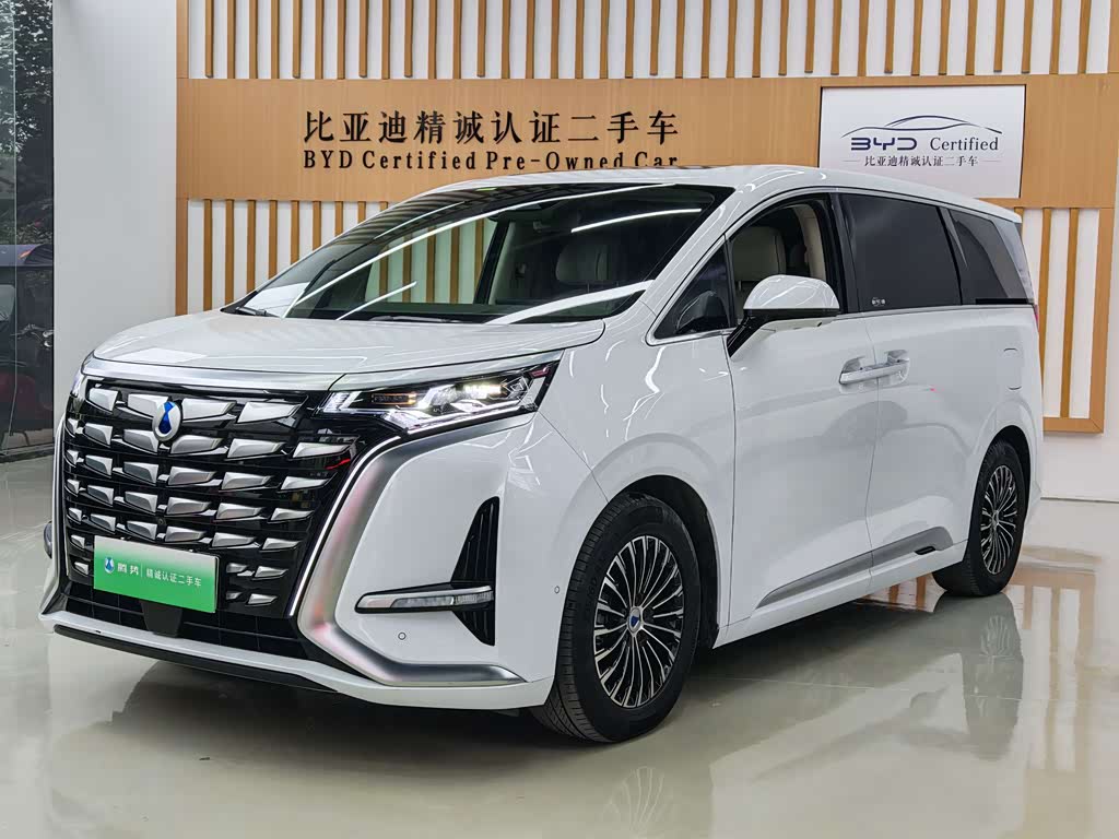 Denza D9