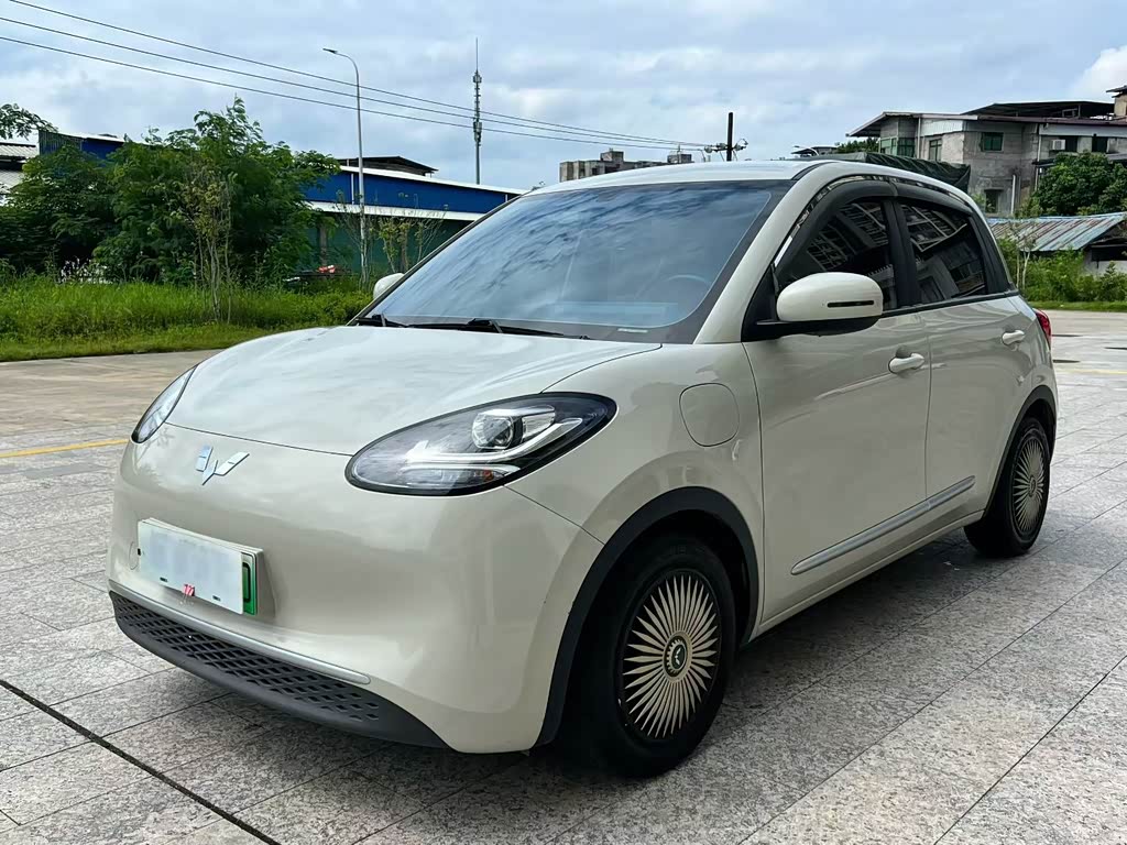Wuling Binguo