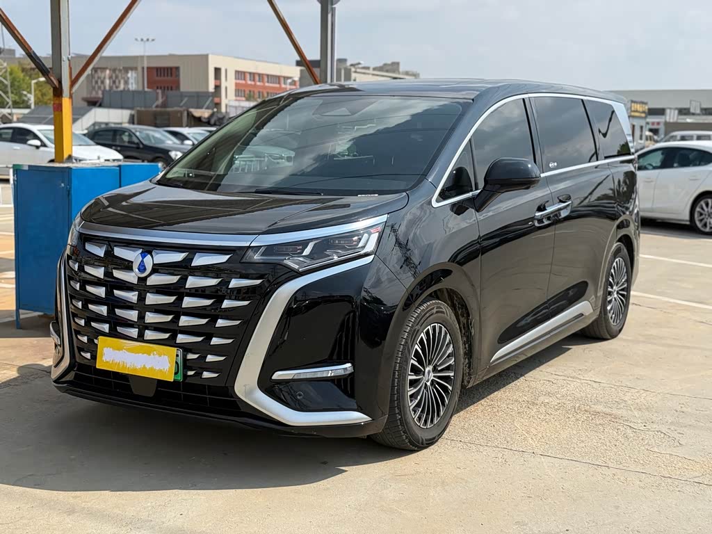Denza D9