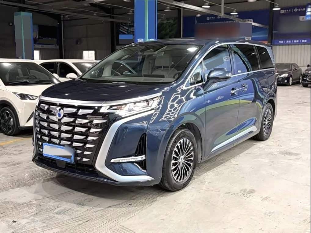 Denza D9