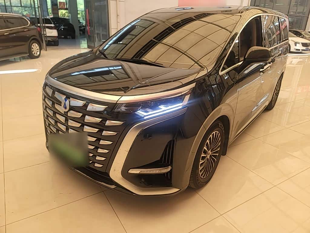 Denza D9