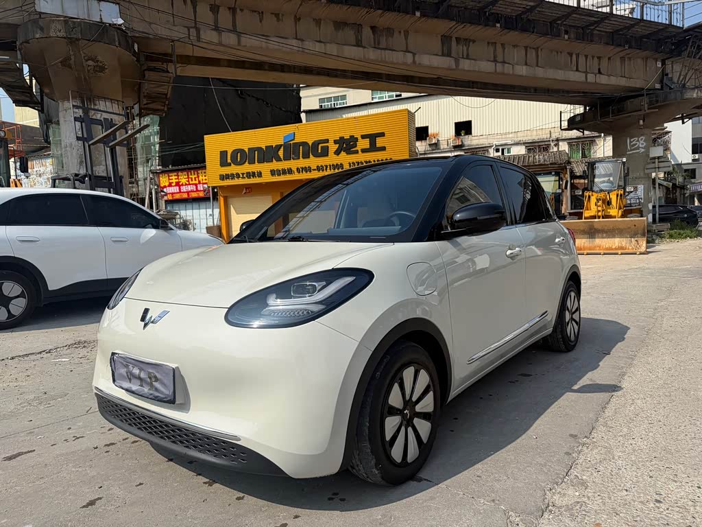Wuling Binguo