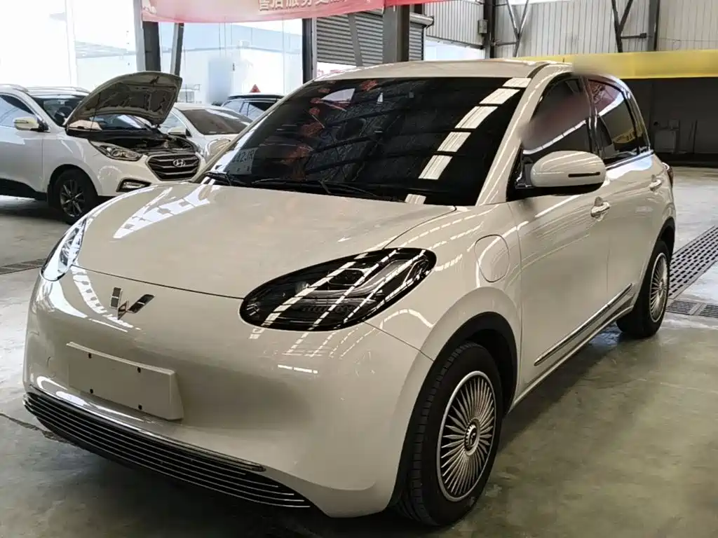 Wuling Binguo