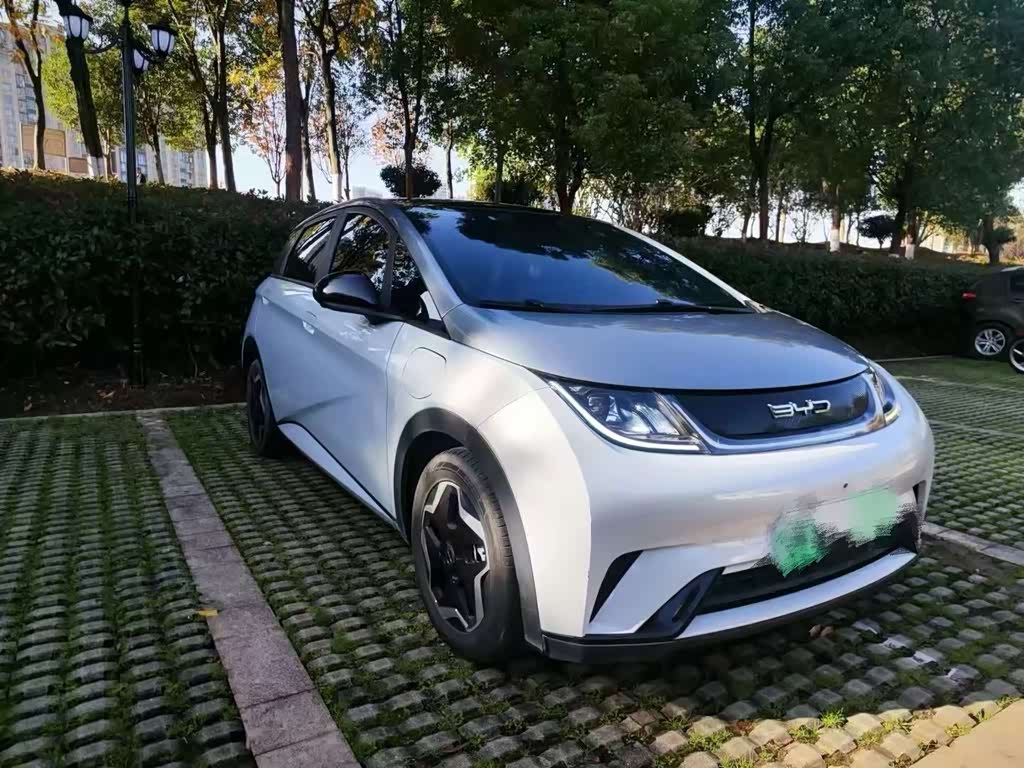 BYD Dolphin