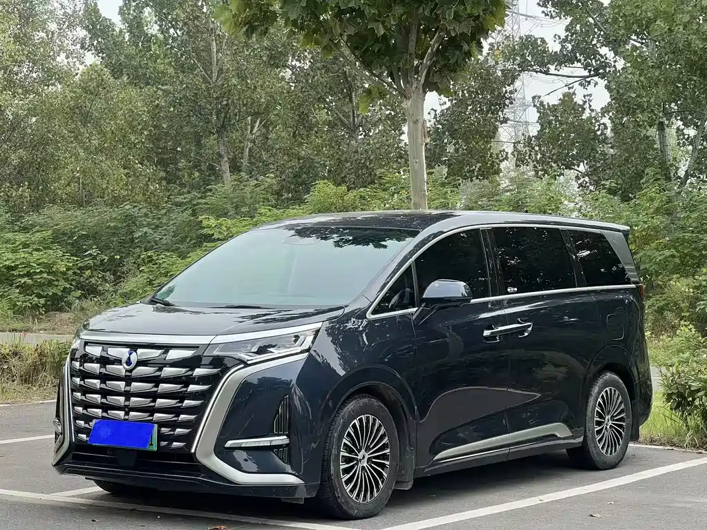 Denza D9