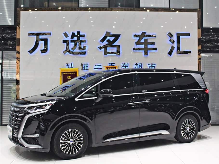 Denza D9