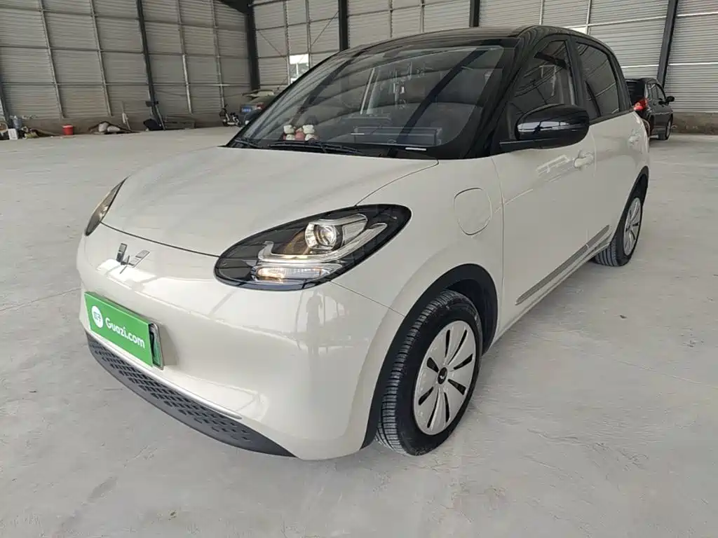 Wuling Binguo