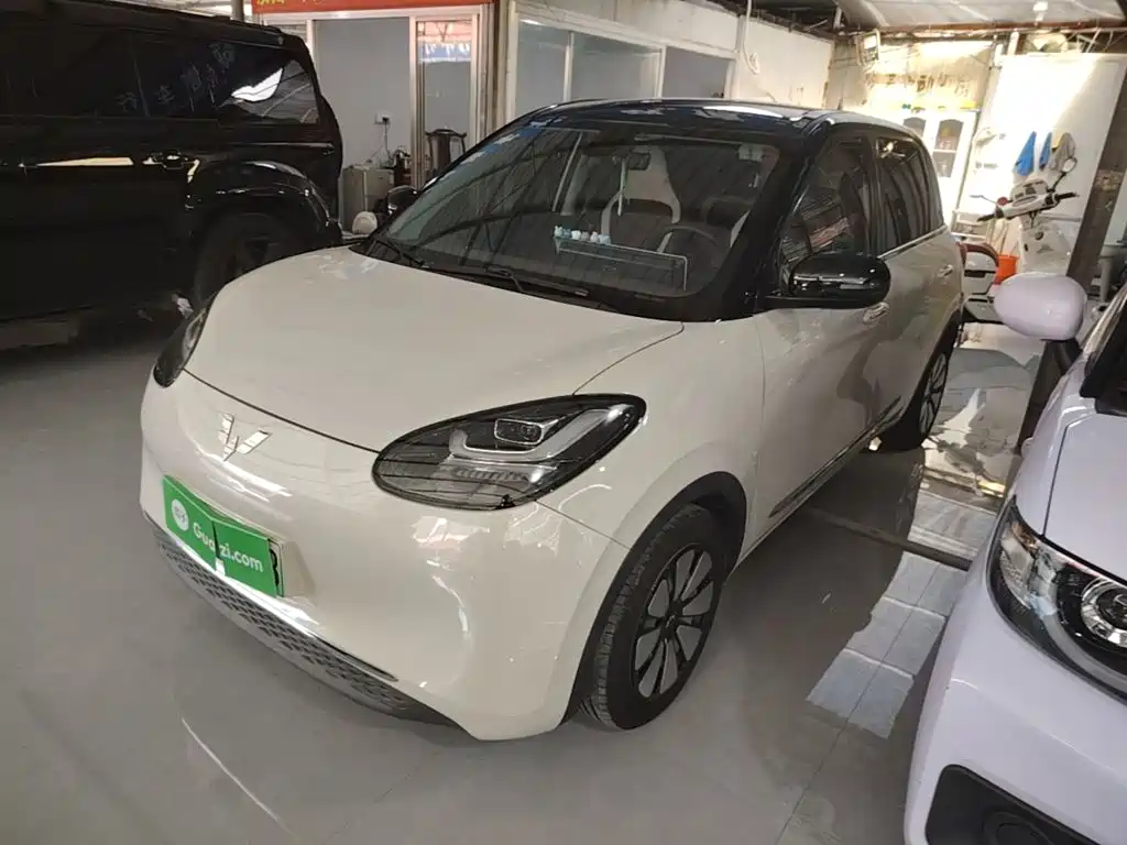 Wuling Binguo