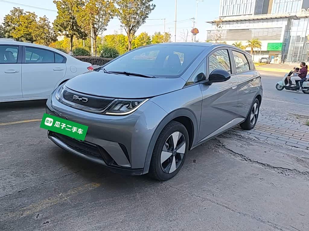 BYD Dolphin