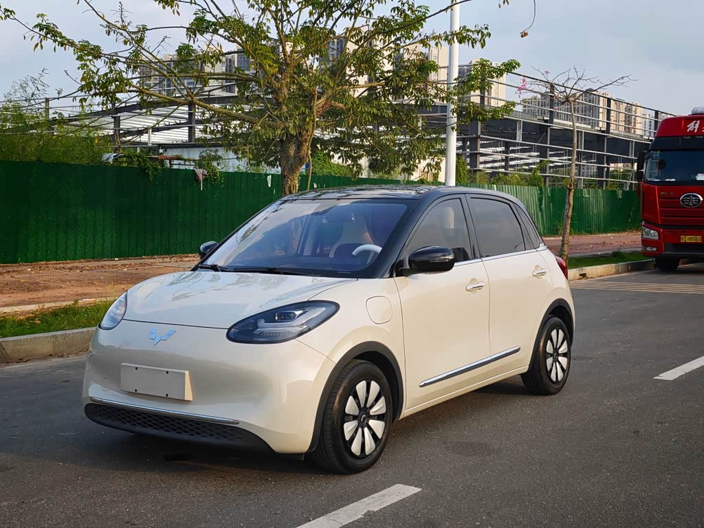 Wuling Binguo