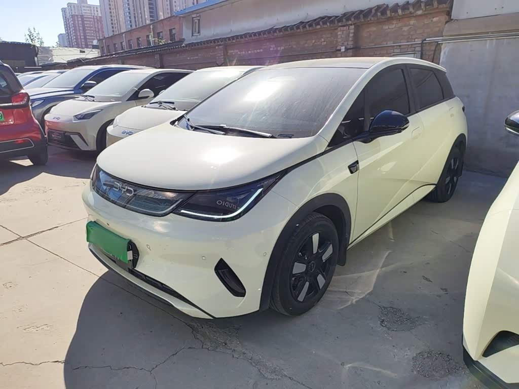 BYD Dolphin