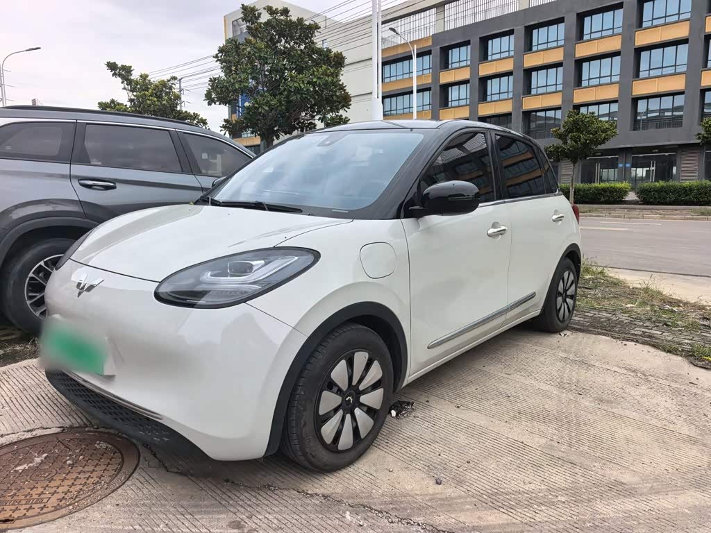 Wuling Binguo
