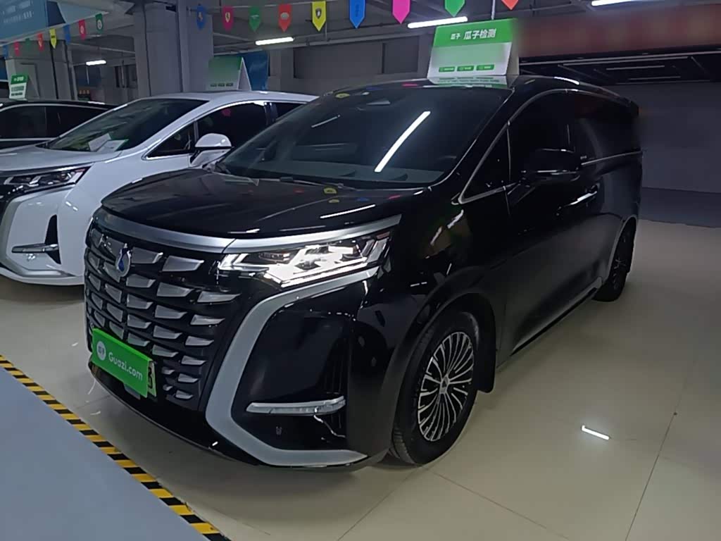 Denza D9