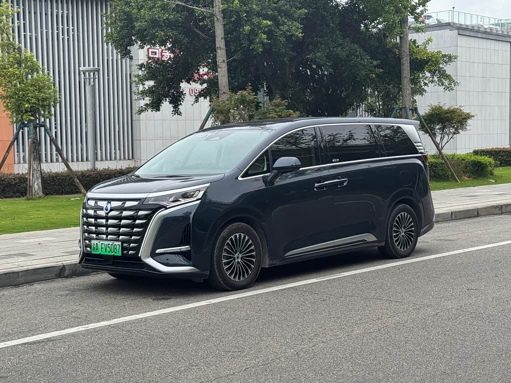 Denza D9