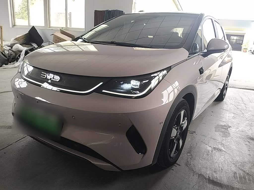 BYD Dolphin