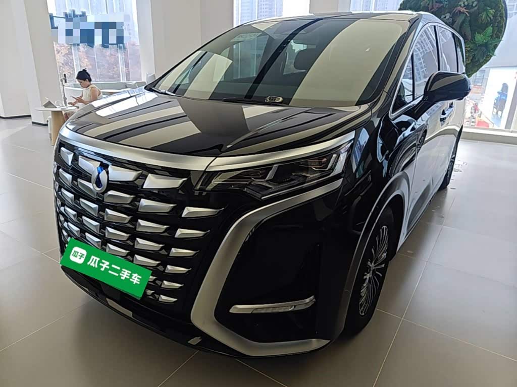 Denza D9