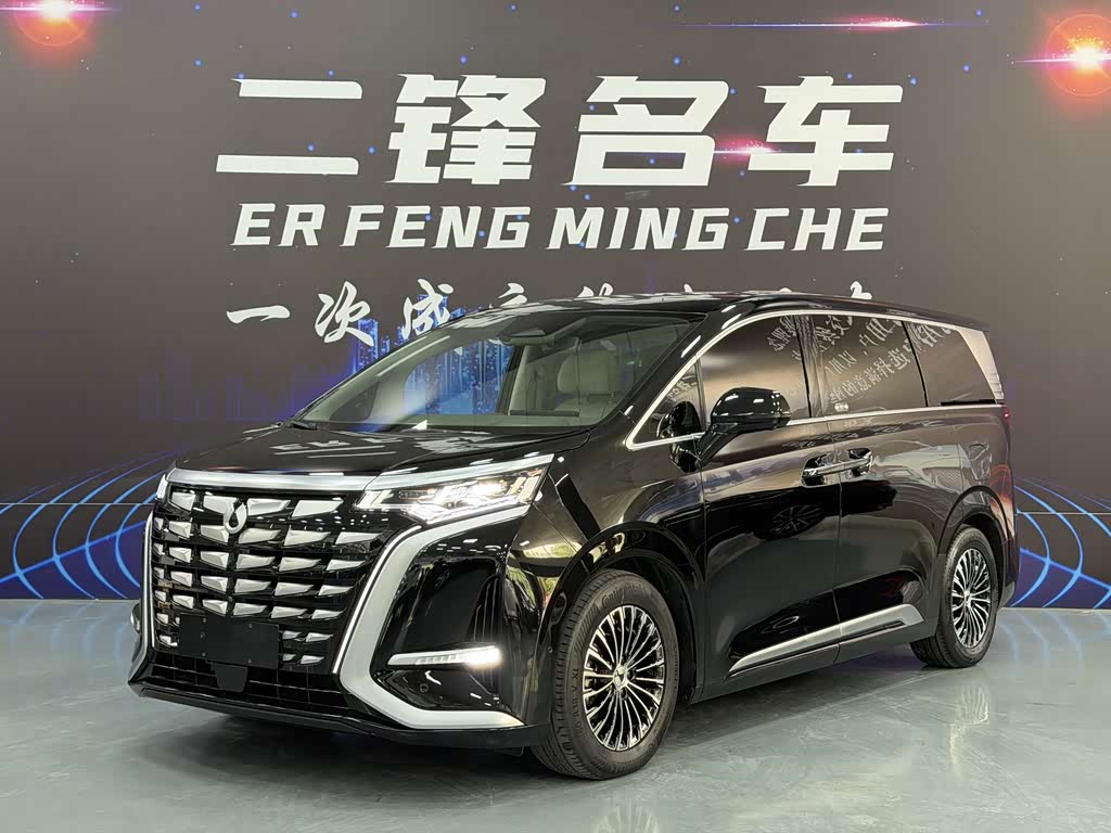 Denza D9