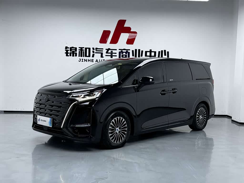 Denza D9