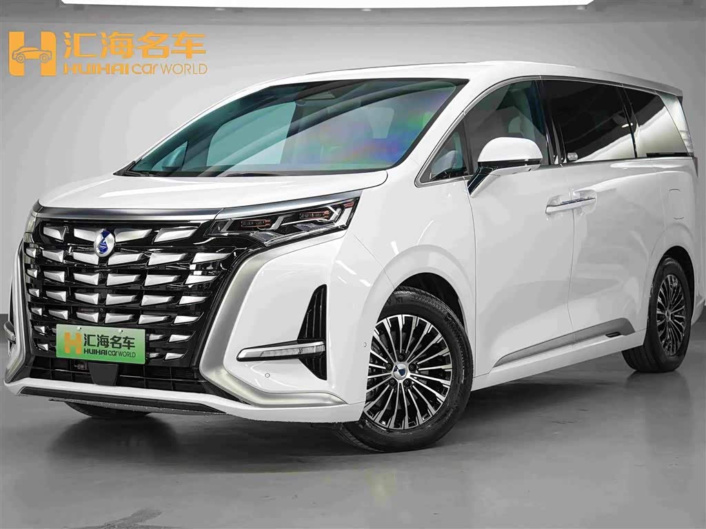 Denza D9