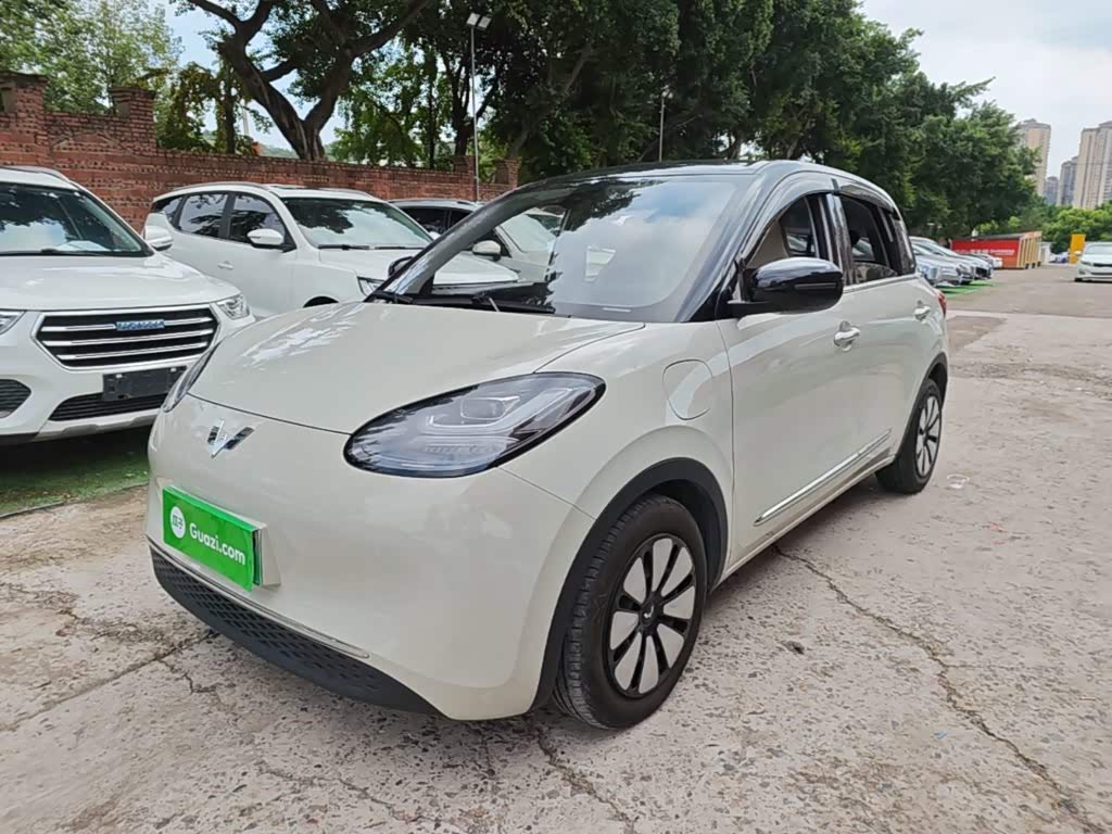 Wuling Binguo