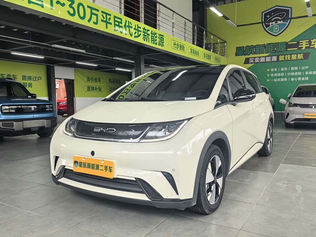 BYD Dolphin