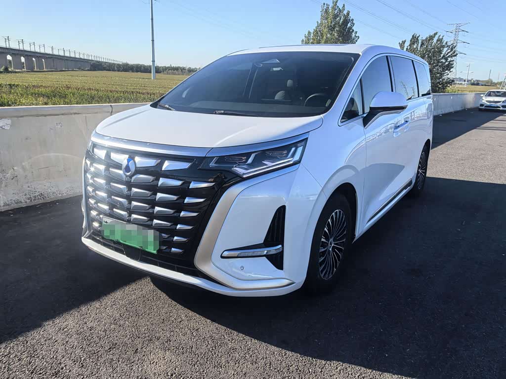 Denza D9